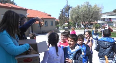 2017 KOYLOYRIA AKHS 8