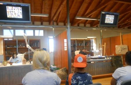 27-4-2018 METOXI FLOGHTON 2