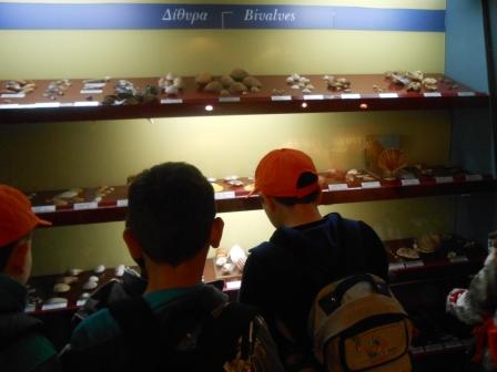 AB ALIEYT MOYSEIO 2016 3