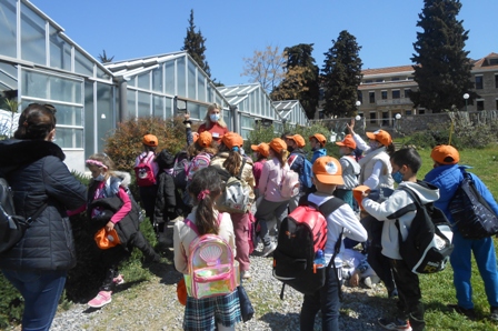 AMERIK GEORG A-B 2022 11