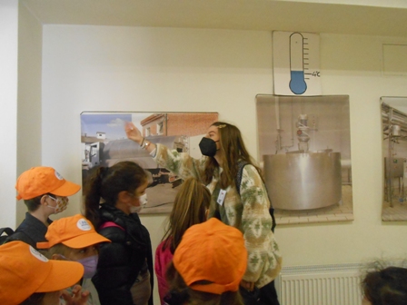 AMERIK GEORG A-B 2022 4