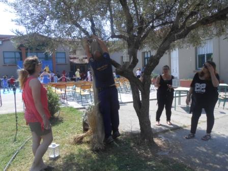 GONEIS IOYNIOS 2017 1