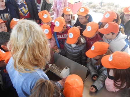 MELISSES A G D 2020 1