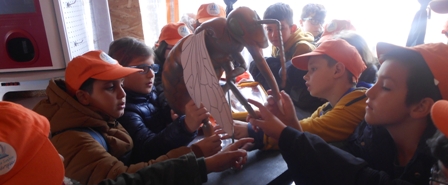 MELISSES A G D 2020 11