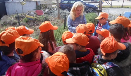 MELISSES A G D 2020 13