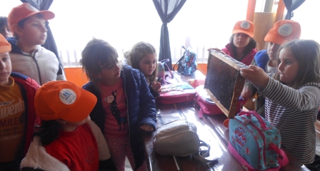 MELISSES A G D 2020 3