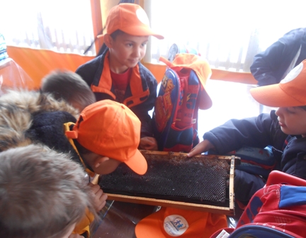 MELISSES A G D 2020 4