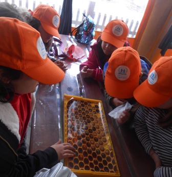 MELISSES A G D 2020 7