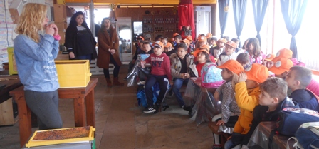 MELISSES A G D 2020 8