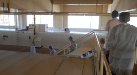 PAPADOPOYLOS 2017 12