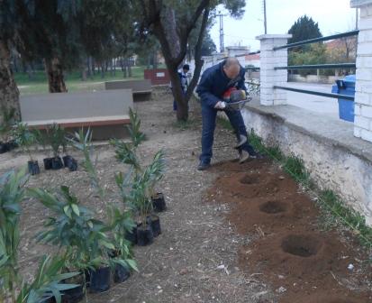 PIKRODAFNES SGK 2015 3