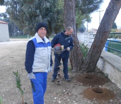 PIKRODAFNES SGK 2015