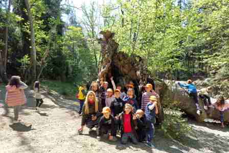 PLATANAKIA A-B 2022-23 4