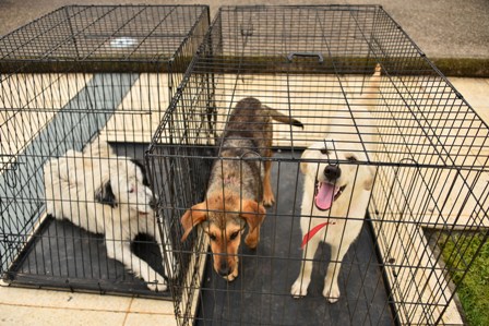 SKYLAKIA B 26-4-2023  4