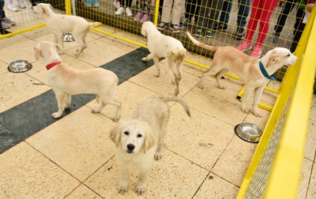 SKYLAKIA B 26-4-2023  5